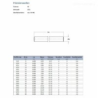 W12h6 Cf53 Präzisionswelle gehärtet und geschliffen 200 mm